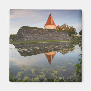 Aimant Estonie, îles de l'ouest de l'Estonie, Saaremaa