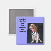 Aimant et le 8e jour, Dieu créa l'aimant cavalier (Recto/Verso)