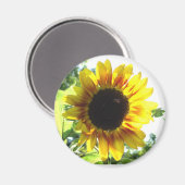 Aimant Étalez un peu de soleil ! ! (Recto/Verso)