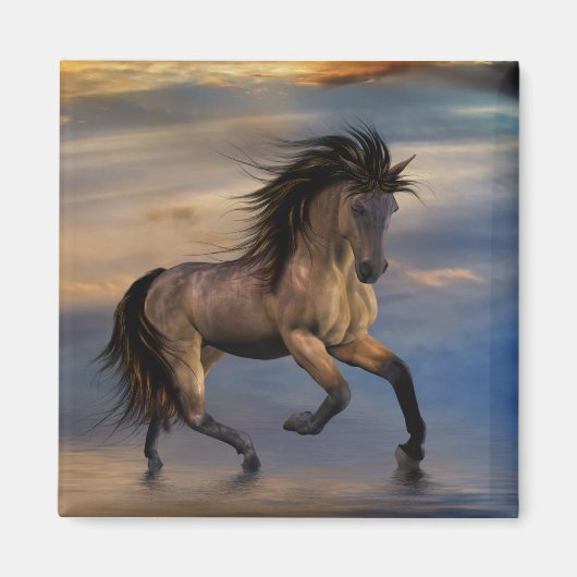 Aimant Etalon .. sauvage (Devant)