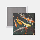 Aimant Etang de poisson asiatique Koi orange et blanc (Recto/Verso)