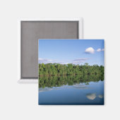 Aimant État du Mato Grosso, Amazonie, Brésil. Forêt (Recto/Verso)