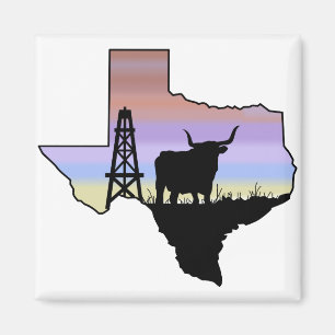 Aimant État du Texas