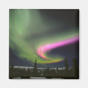 Aimant États-Unis, Alaska, Chena Hot Springs. Aurore 2