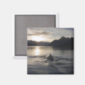 Aimant États-Unis, Alaska, Parc national de Glacier Bay, (Recto/Verso)