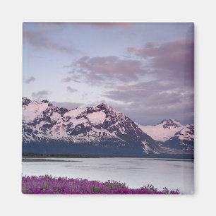 Aimant États-Unis, Alaska, vallée de la rivière Alsek. Vu
