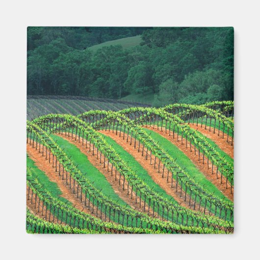 Aimant États-Unis, Californie, comté de Mendocino, un (Devant)