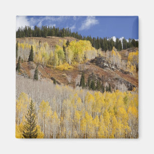 Aimant États-Unis, Colorado, Forêt nationale de Gunnison,