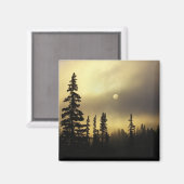 Aimant États-Unis, Colorado, San Isabel National Forest. (Recto/Verso)