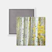 Aimant États-Unis, Colorado, White River National Forest, (Recto/Verso)