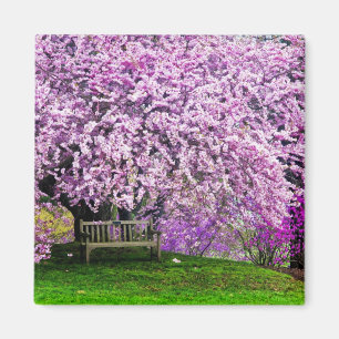 Aimant États-Unis, Delaware, Wilmington. Banc en bois sou