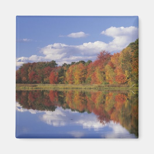 Aimant États-Unis, Massachusetts, Acton. Reflet de l'auto (Devant)