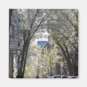 Aimant États-Unis, Massachusetts, Boston, Beacon Hill.