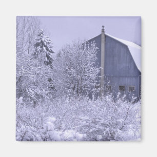 Aimant États-Unis, Michigan, Rochester Hills. Bleu neige