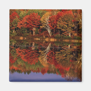 Aimant États-Unis, Michigan, Upper Peninsula. Automne