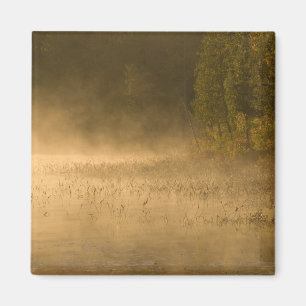 Aimant États-Unis, New York, Adirondack Park. Brume de le