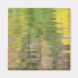 Aimant États-Unis, New York, Adirondacks, reflets dans l'