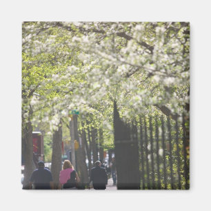 Aimant États-Unis, New York, New York City, Manhattan: 8