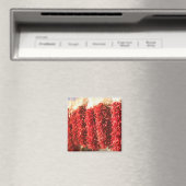 Aimant États-Unis, Nouveau-Mexique, Père Noël Fe : Downto (In Situ (Lave-vaisselle))