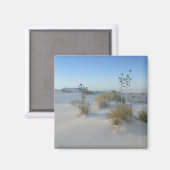 Aimant États-Unis, Nouveau-Mexique, White Sands National  (Recto/Verso)