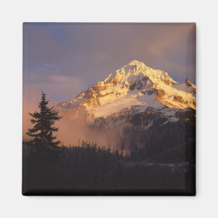Aimant États-Unis, Oregon, Forêt nationale du mont Hood.