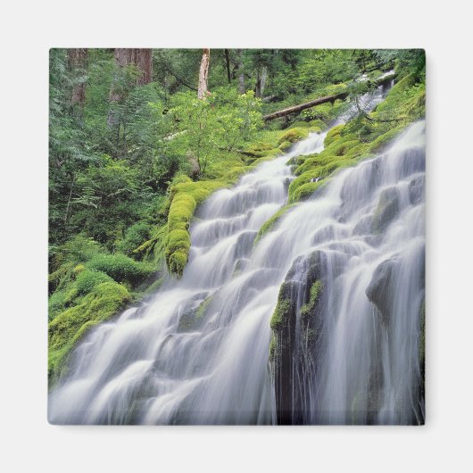 Aimant États-Unis, Oregon, Proxy Falls. Proxy Falls se pr (Devant)