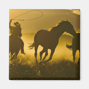 Aimant États-Unis, Oregon, Seneca, Ponderosa Ranch.