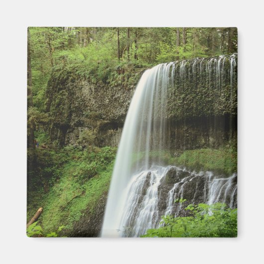 Aimant États-Unis, Oregon, Silver Falls State Park. Infér (Devant)