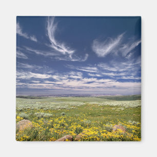 Aimant États-Unis, Oregon, Steens Mountain. Le printemps 
