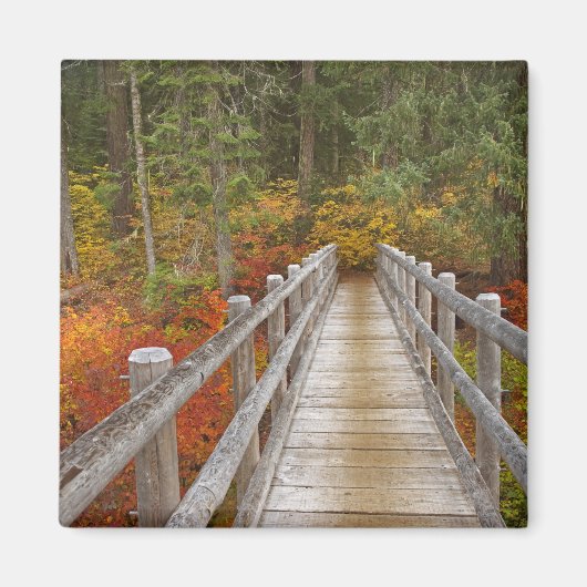 Aimant États-Unis, Oregon, Willamette National Forest. (Devant)