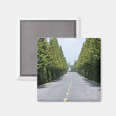 Aimant États-Unis, Parc national de Yellowstone, Route ar (Recto/Verso)