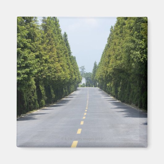 Aimant États-Unis, Parc national de Yellowstone, Route ar (Devant)