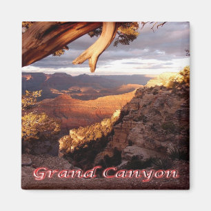 Aimant États-Unis Parc National Grand Canyon - Panorama