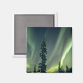 Aimant États-Unis, région de Fairbanks, Alaska central, A (Recto/Verso)