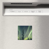 Aimant États-Unis, région de Fairbanks, Alaska central, A (In Situ (Lave-vaisselle))