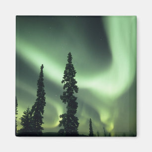 Aimant États-Unis, région de Fairbanks, centre de l'Alask