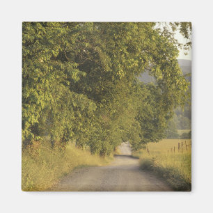 Aimant États-Unis, Tennessee, Great Smoky Mountains Nati