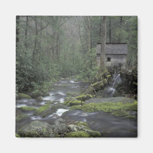 Aimant États-Unis, Tennessee, Great Smoky Mountains Natio