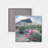 Aimant États-Unis, Texas, Big Bend National Park. Florais (Recto/Verso)