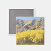 Aimant États-Unis, Utah, Forêt nationale de Wasatch-Cache (Recto/Verso)