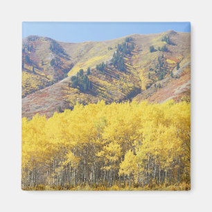 Aimant États-Unis, Utah, Forêt nationale de Wasatch-Cache