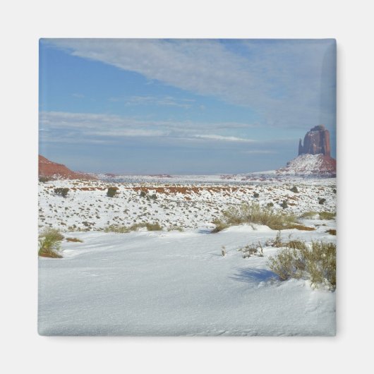 Aimant États-Unis, Utah, Monument Valley. L'armoise appar (Devant)