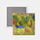 Aimant États-Unis, Vermont. Feuillage d'automne le long d (Recto/Verso)