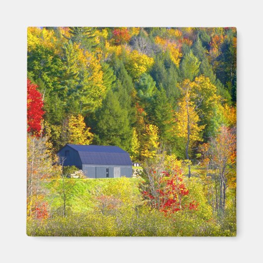 Aimant États-Unis, Vermont. Feuillage d'automne le long d (Devant)