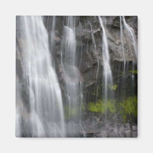 Aimant États-Unis, WA, Mt Rainier NP, Narada Falls (Devant)