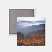 Aimant États-Unis, Washington, Gorge nationale de la rivi (Recto/Verso)