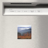 Aimant États-Unis, Washington, Gorge nationale de la rivi (In Situ (Lave-vaisselle))