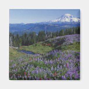 Aimant États-Unis, Washington Mt. Adams Wilderness, prair
