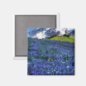 Aimant États-Unis, Washington, Parc national du Mont Rain (Recto/Verso)