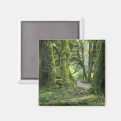 Aimant États-Unis, Washington, Parc National Olympique, H (Recto/Verso)